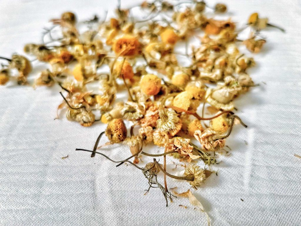 Dried Chamomile Flowers for beautiful skin