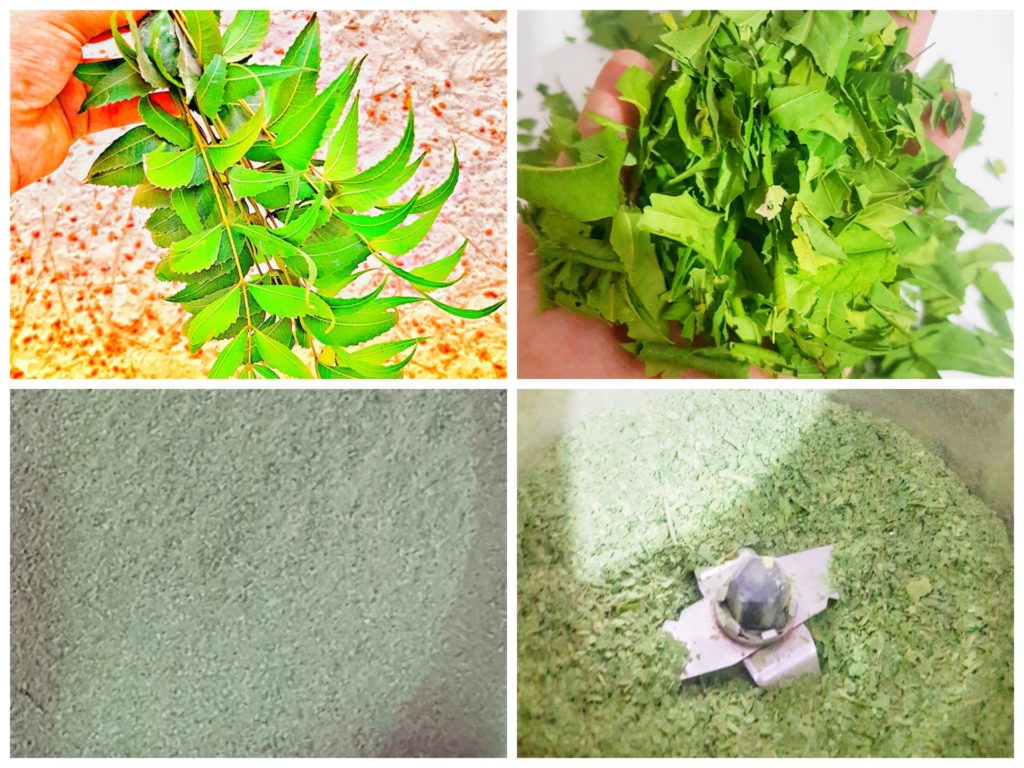 How to make Neem powder at home