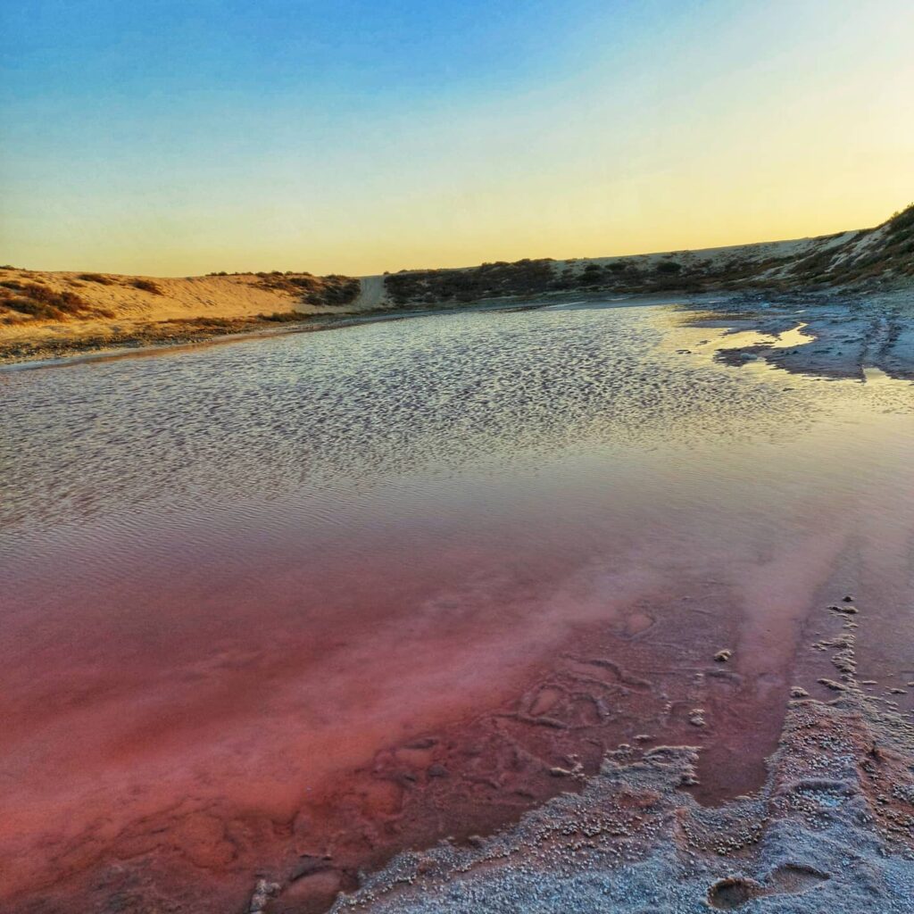 UAE's Pink Lake
