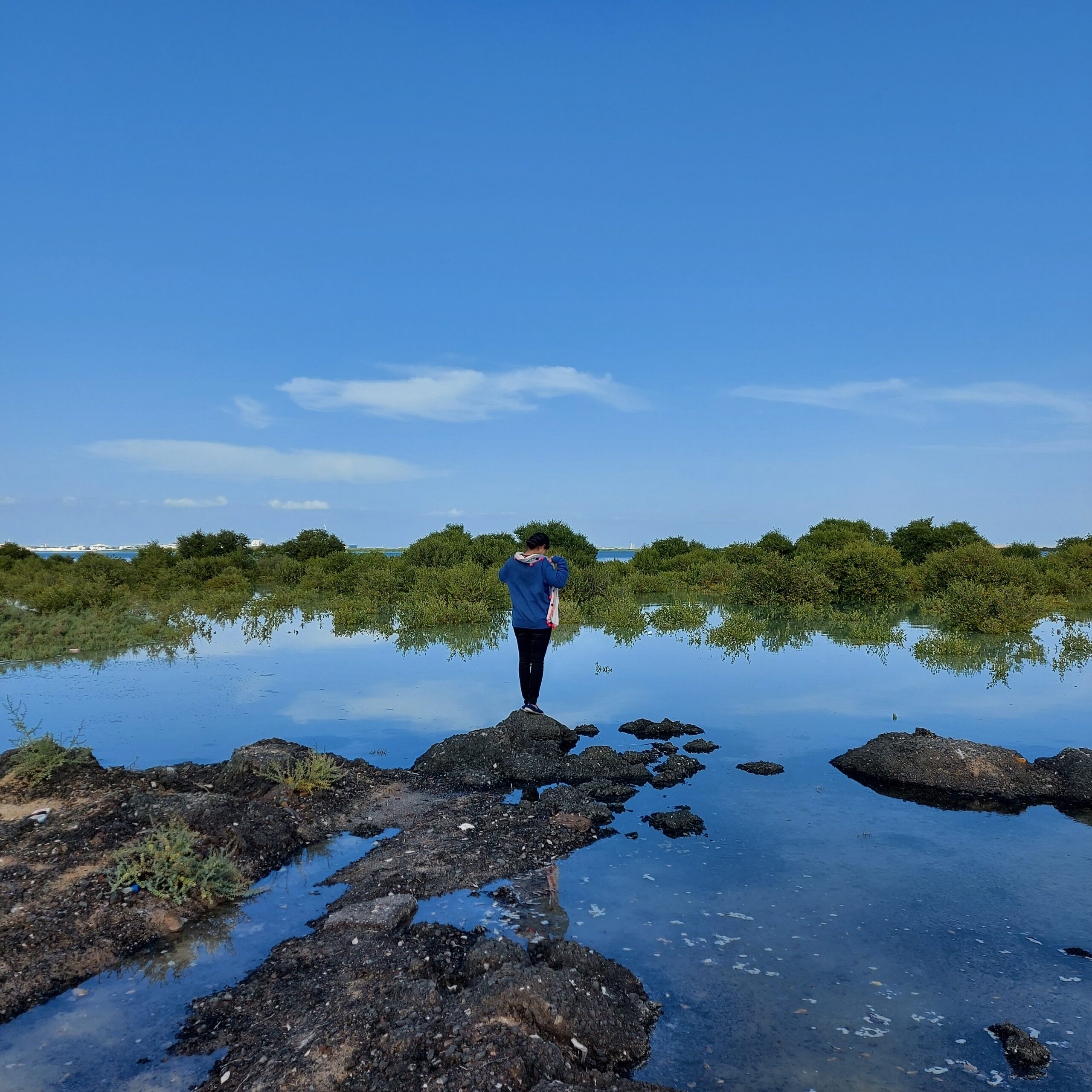 Mangrove Beach- Umm Al Quwain